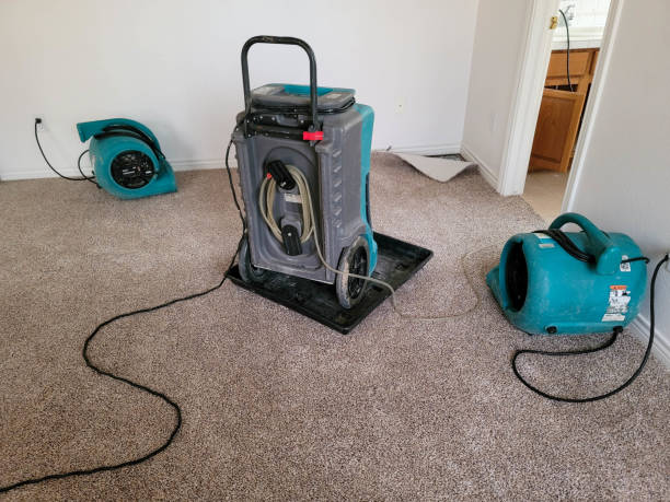 Best Flood damage cleanup  in Bohners Lake, WI