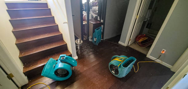 Best Local water damage restoration  in Bohners Lake, WI