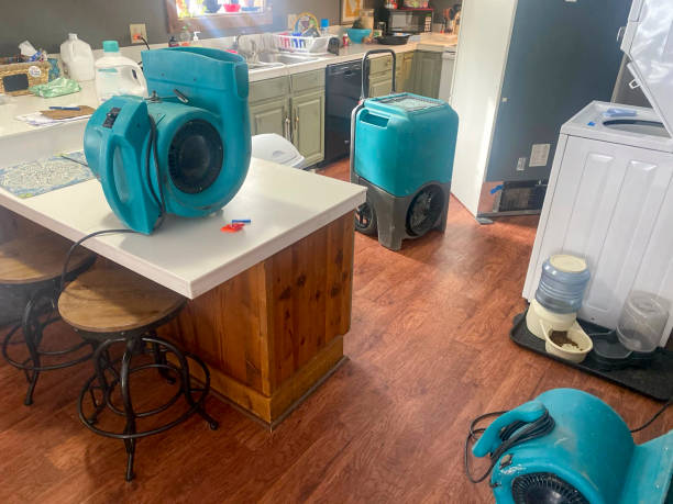 Best 24-hour water damage restoration  in Bohners Lake, WI