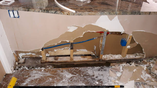 Best Water damage restoration cost  in Bohners Lake, WI