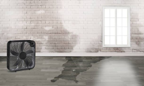 Best 24/7 water damage repair  in Bohners Lake, WI