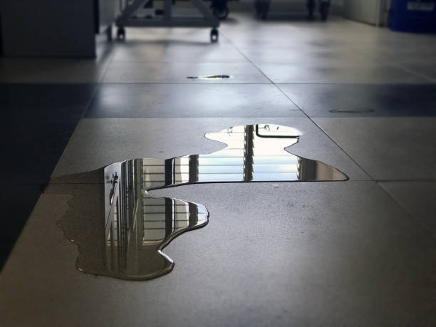 Best Commercial water damage restoration  in Bohners Lake, WI