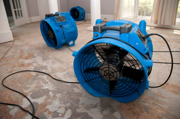 Best Carpet water damage restoration  in Bohners Lake, WI