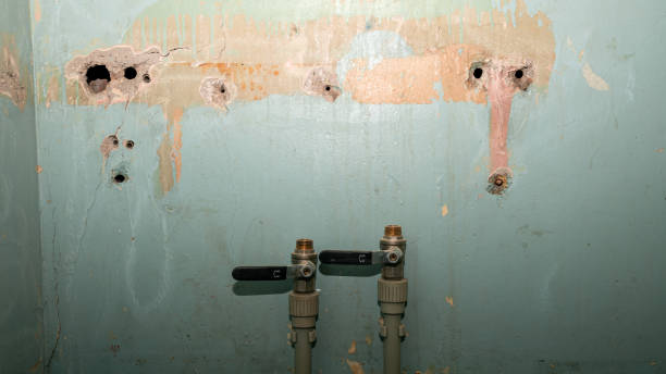Best Sewage cleanup and water damage restoration  in Bohners Lake, WI