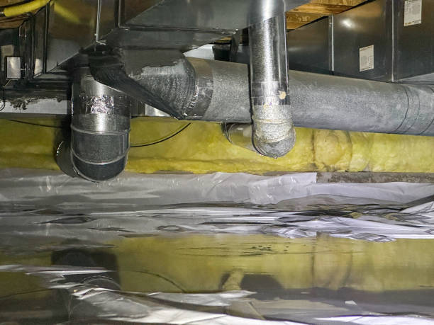 Best Water damage contractors near me  in Bohners Lake, WI