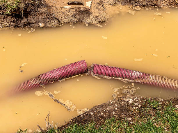 Best Local water damage restoration  in Bohners Lake, WI